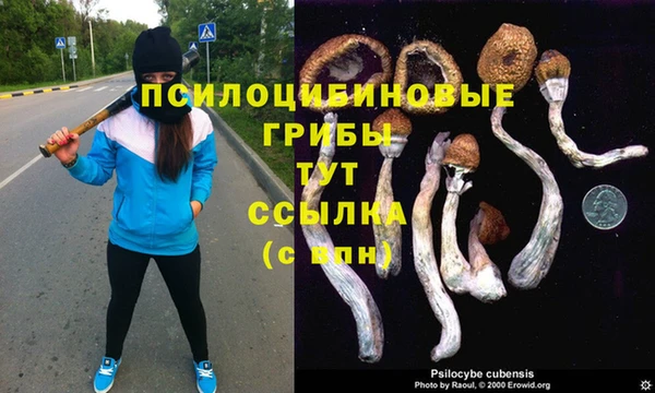 2c-b Белоозёрский